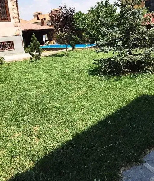 slider 1223699