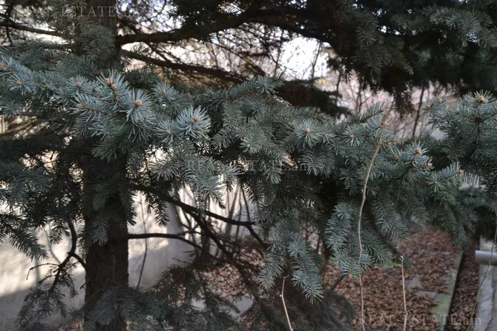 Недвижимость Центр, Баграмян пр(Кентрон)